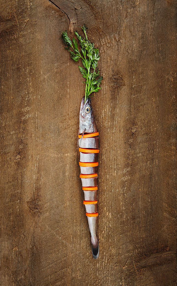 carrotfish_v2