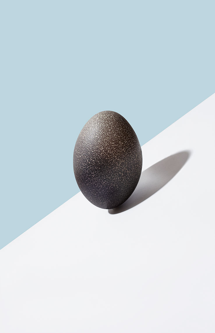 Emu Egg