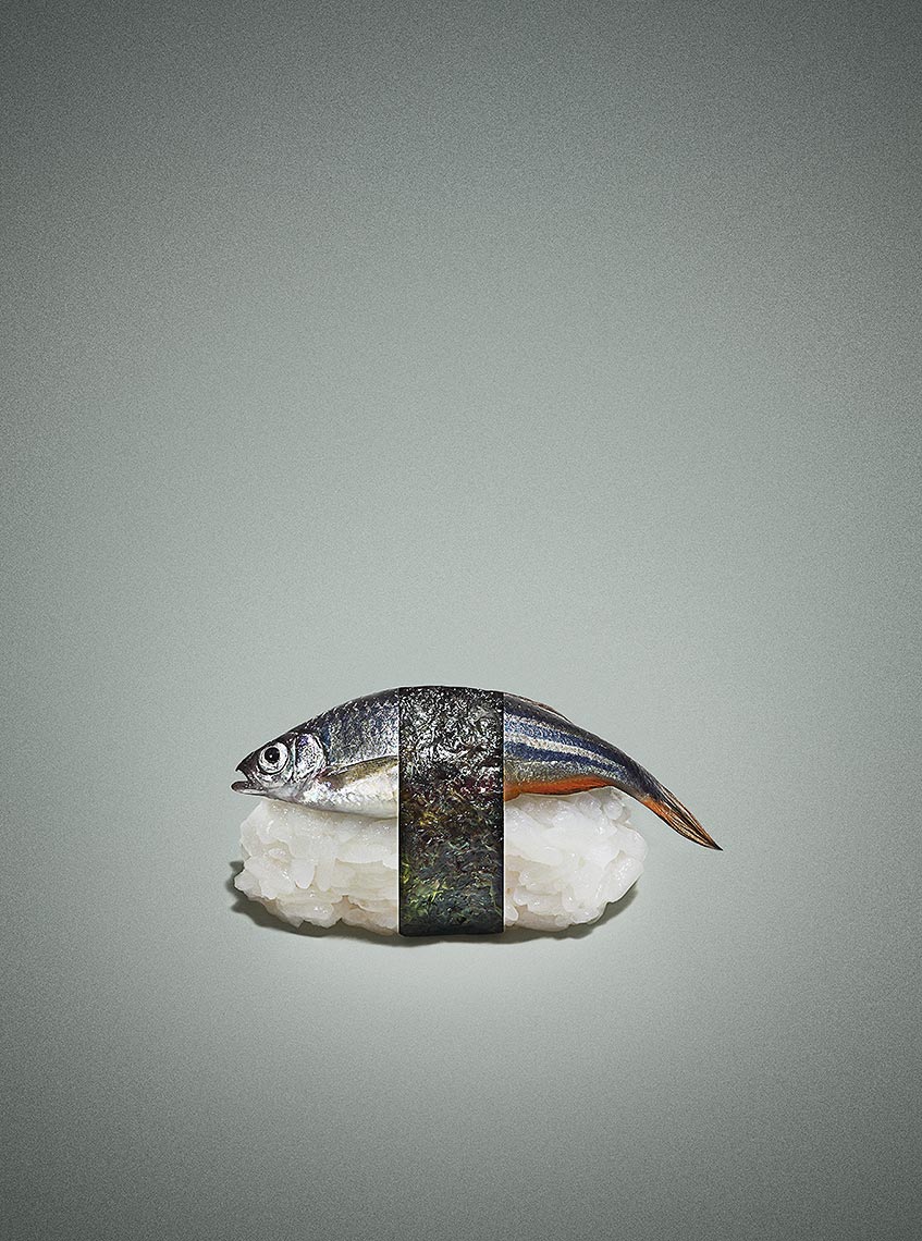 Minnow Sushi