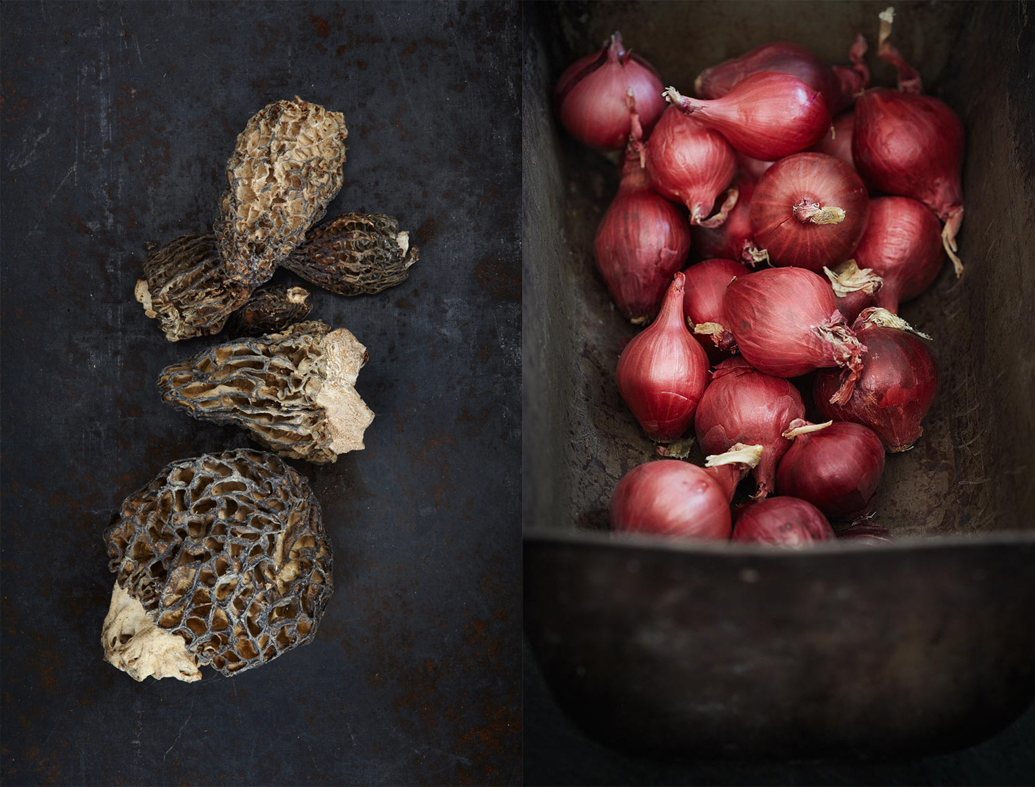 morels_onion_dyp