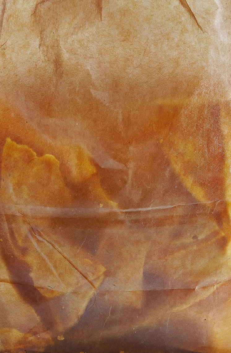 nacho_v2crop